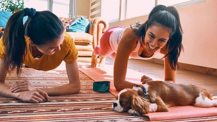 Build Long-Lasting Habits—Don't Rely on Willpower Alone!—For Wellhub